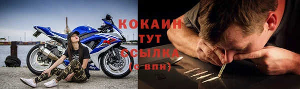 прущие крисы Верея