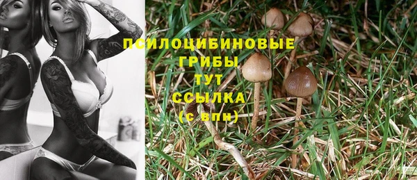 прущие крисы Верея